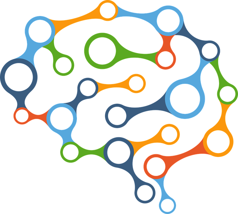 brain-2029391_960_720